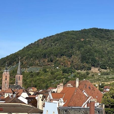 Modernes City-Appartement Neustadt an der Weinstraße Екстериор снимка